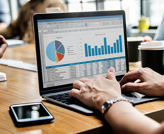 SEO Reseller Services  - SNV Services